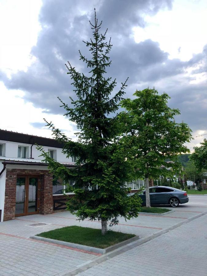 Hotel Nueva Park Braşov Esterno foto